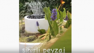 Sihirli Peyzaj Video 49