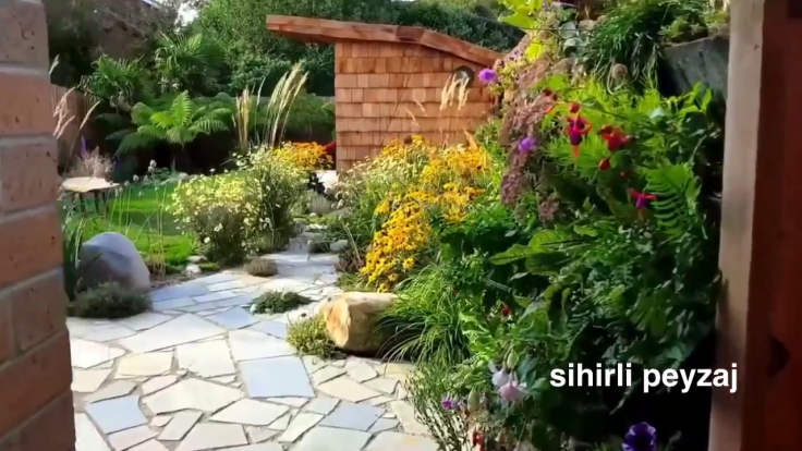 Sihirli Peyzaj Video 56