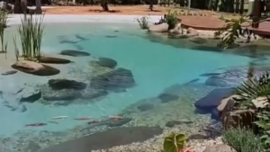 Sihirli Peyzaj Video 97