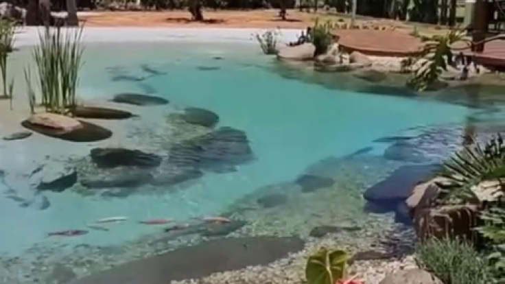 Sihirli Peyzaj Video 97