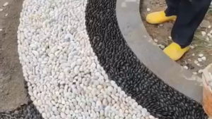 Sihirli Peyzaj Video 99