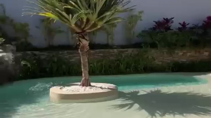 Sihirli Peyzaj Video 101