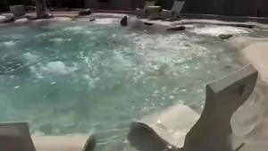 Sihirli Peyzaj Video 102