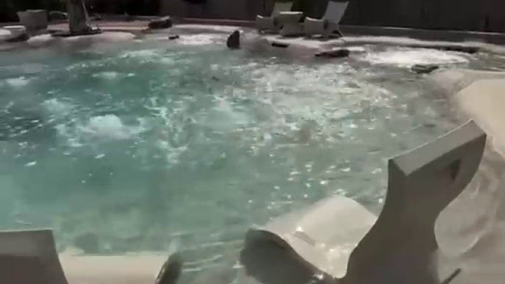 Sihirli Peyzaj Video 102